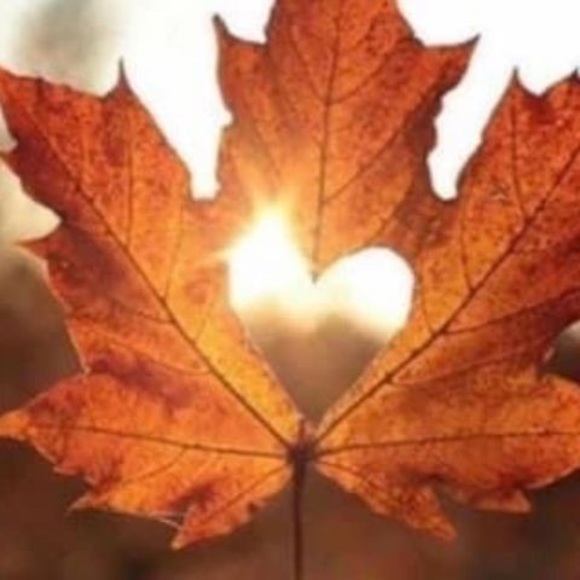 Meet your Posher, Lois - Picture 1 of 1